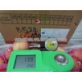 Alta calidad China Venta caliente Fresh Fuji Apple